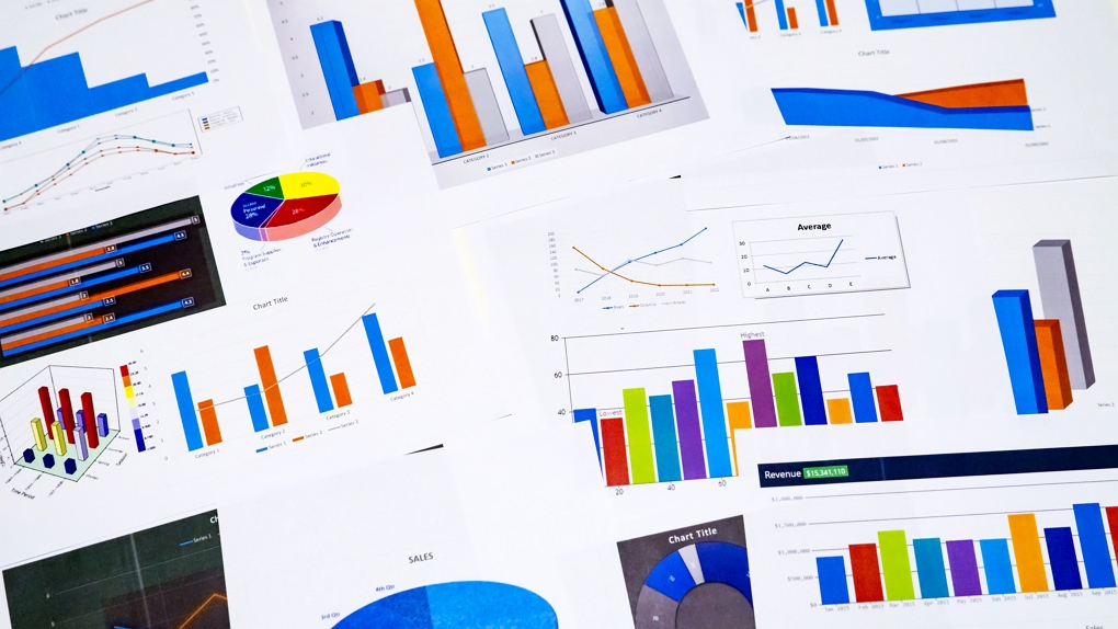 Self Designed Reports in TrackonAI